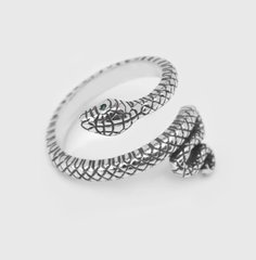 Срібний перстень Змія, 18