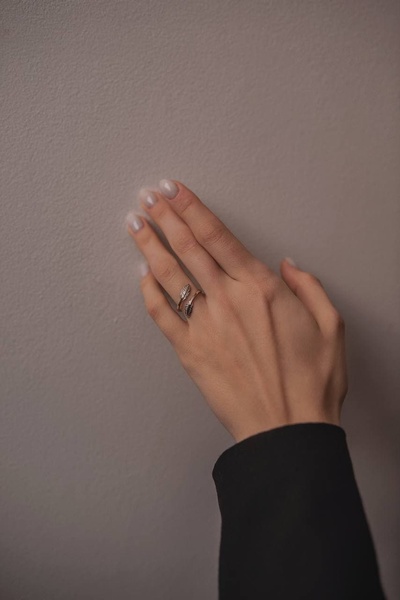 Срібний перстень Пір’їна, 17